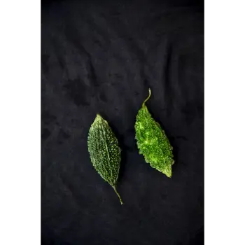 bitter gourd (23)-795428-95315.webp